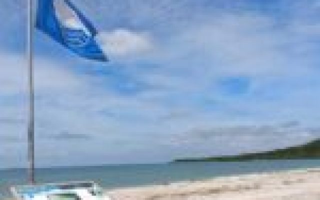 Praia das Pedras de Sapiatiba recebe Ação de Limpeza em São Pedro da Aldeia