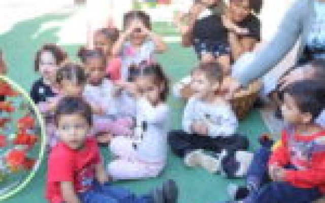 Secretaria de Educação leva projeto “EcoLiteratura” para Creche Dona Chica